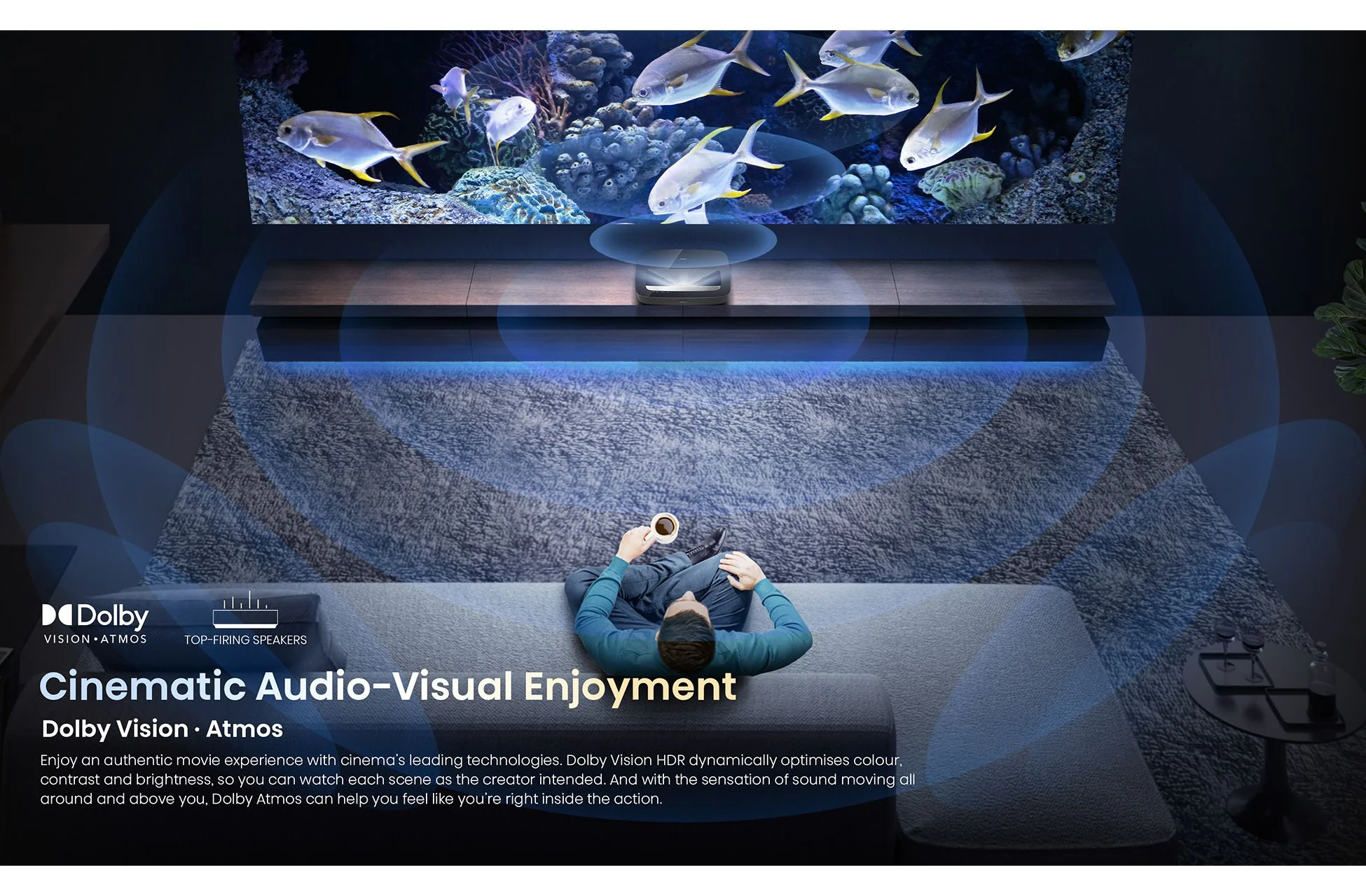Hisense PL1TUKSE 4K Smart Laser Cinema Projector - Image 8