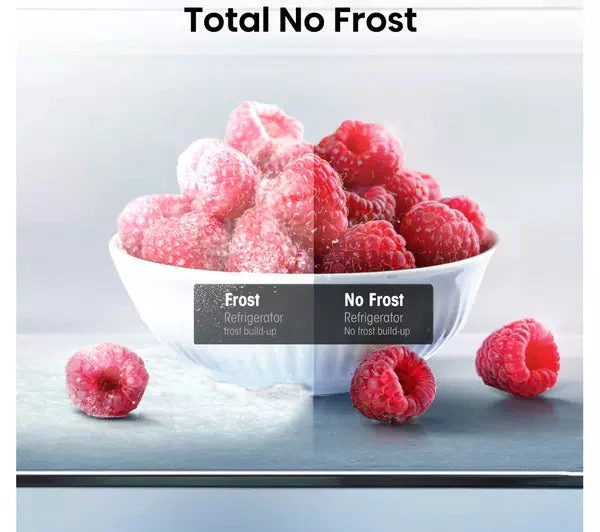 Hisense RB327N4BWE Fridge Freezer Frost Free Freestanding 50/50 182cm Tall 256L - White - Image 4