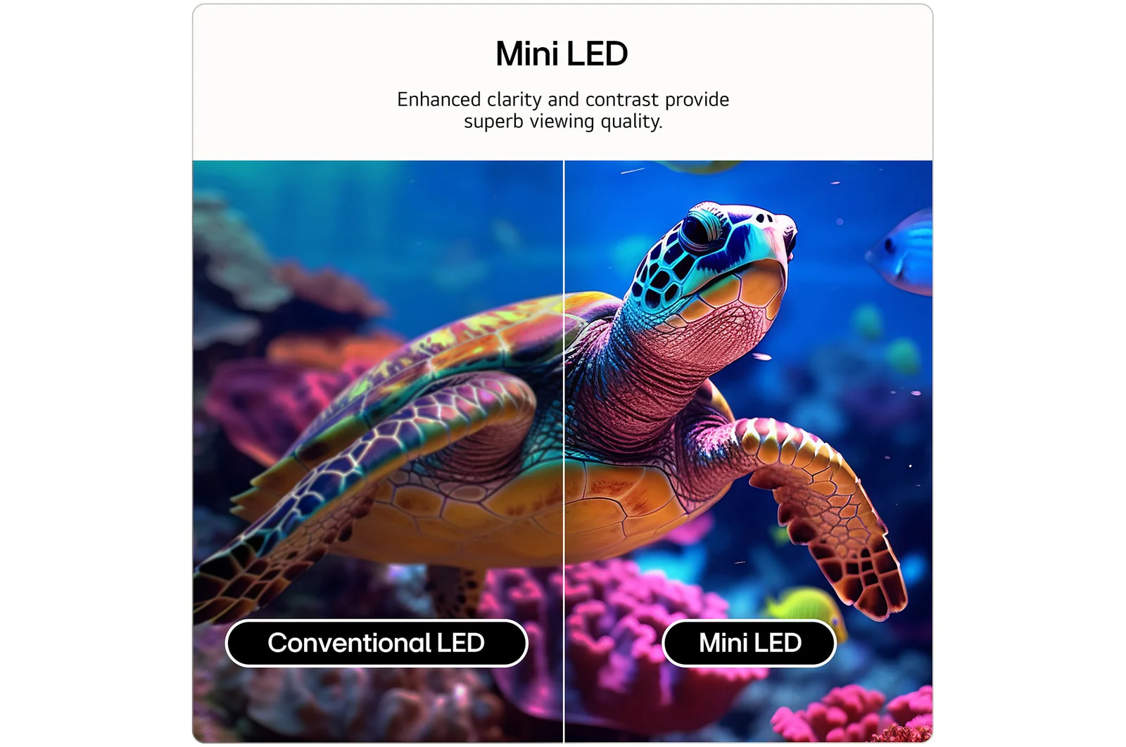 LG 43QNED87B6A 43 Inch QNED evo Mini LED AI QNED87 4K Ultra HD HDR Smart TV 2026 - Image 5