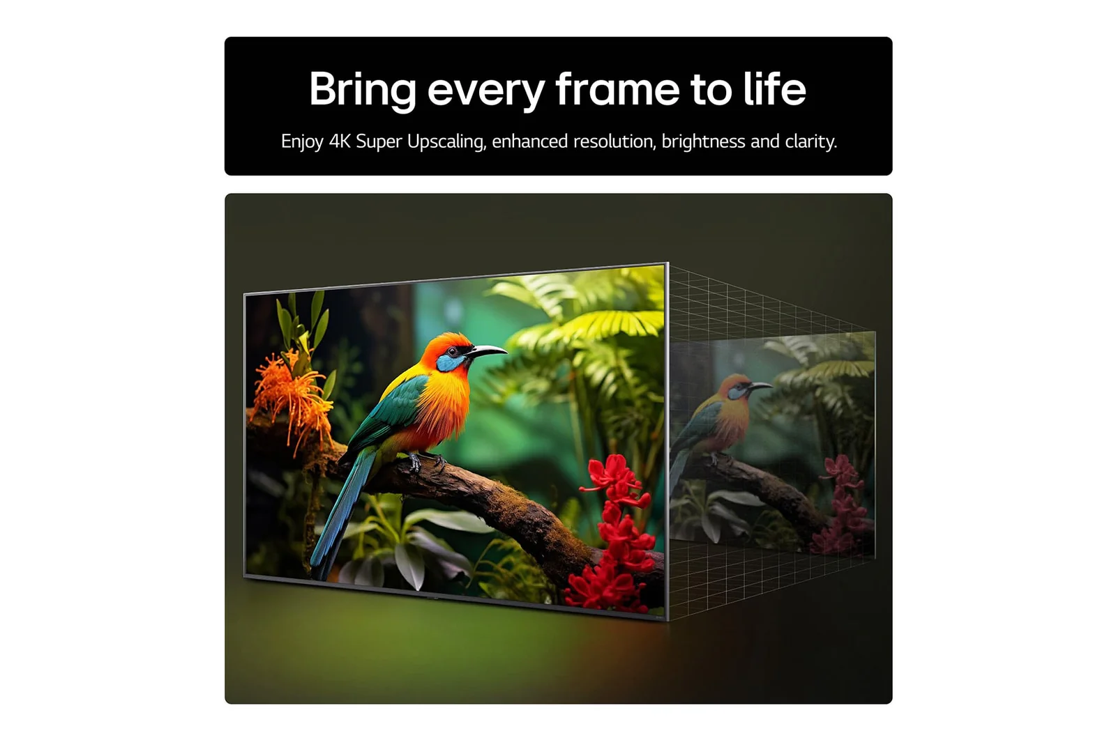 LG 43UA74006LB 43 Inch AI ThinQ UA74 4K UHD HDR Smart TV - Image 7