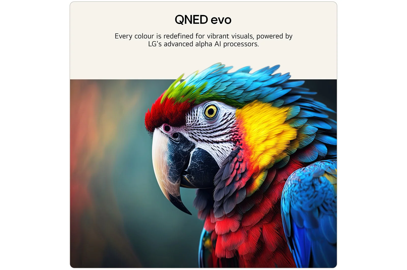 LG 65QNED87B6A 65 Inch QNED evo Mini LED AI QNED87 4K Ultra HD HDR Smart TV 2026 - Image 6