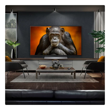 LG OLED48G56LS 48 Inch OLED Evo AI G5 4K Ultra HD HDR Smart TV - Image 9