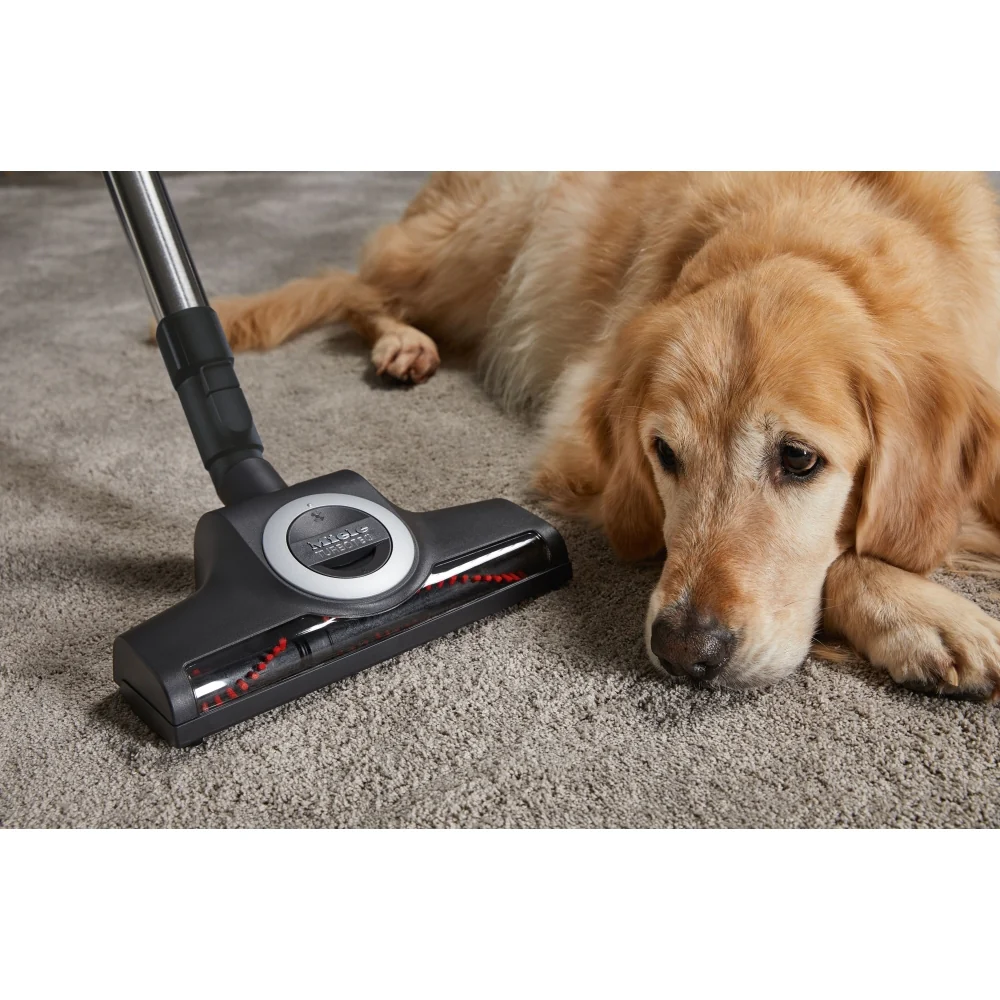 Miele Blizzard CX1 Cat & Dog Flex Cylinder Bagless Vacuum Cleaner - Grey - Image 8