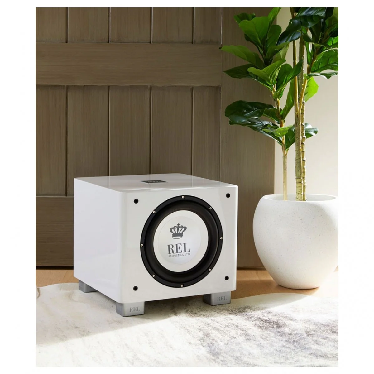 REL T9x 300 Watt Subwoofer - White - Image 9