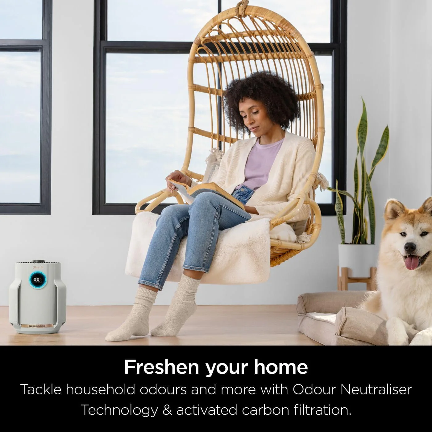 Shark NeverChange5 Air Purifier Compact Pro HP072UK - Dove - Image 6