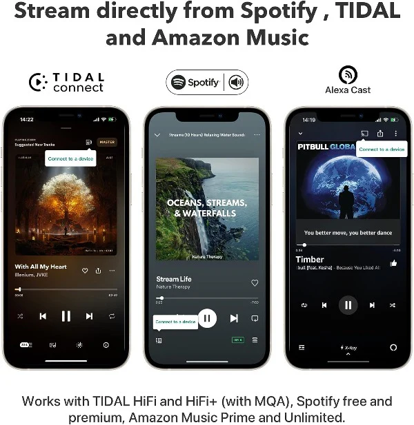 WiiM Pro Audiophile Grade Multi-Room Music Streamer - Image 5