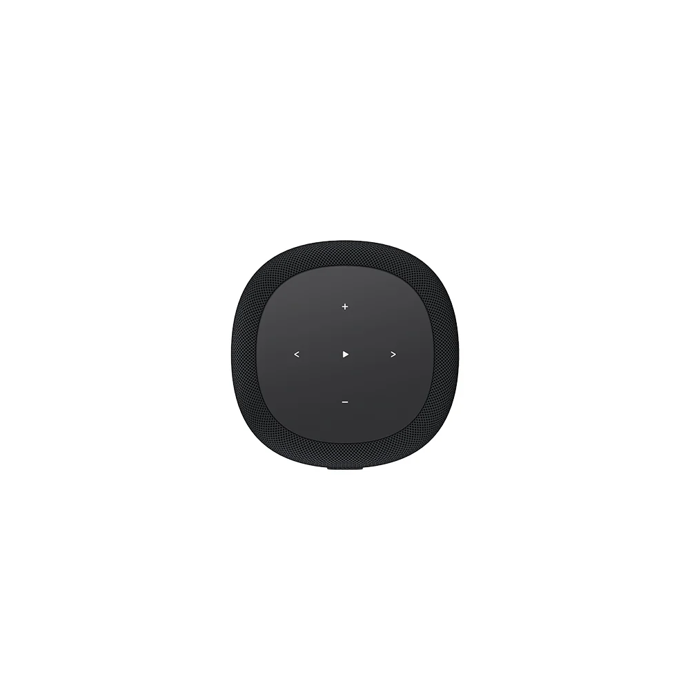 WiiM Sound Lite Wireless Multiroom Smart Speaker - Black - Image 2