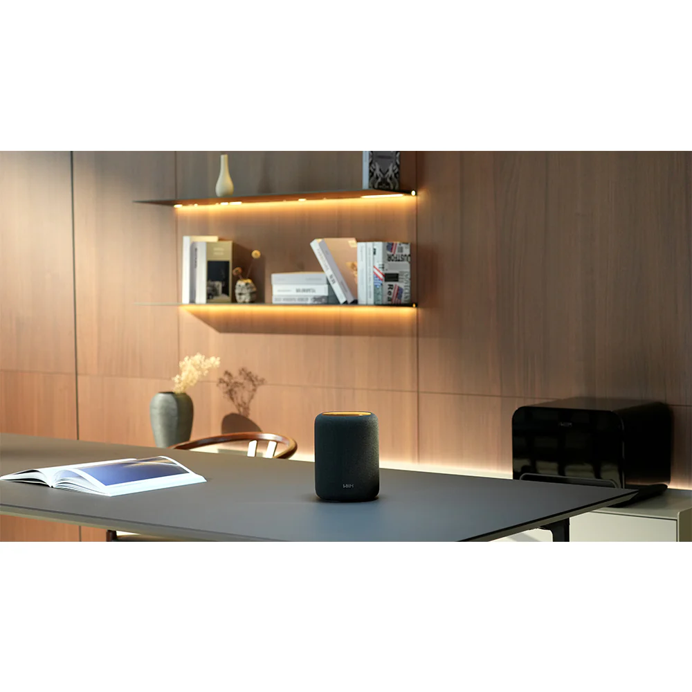 WiiM Sound Lite Wireless Multiroom Smart Speaker - Black - Image 4