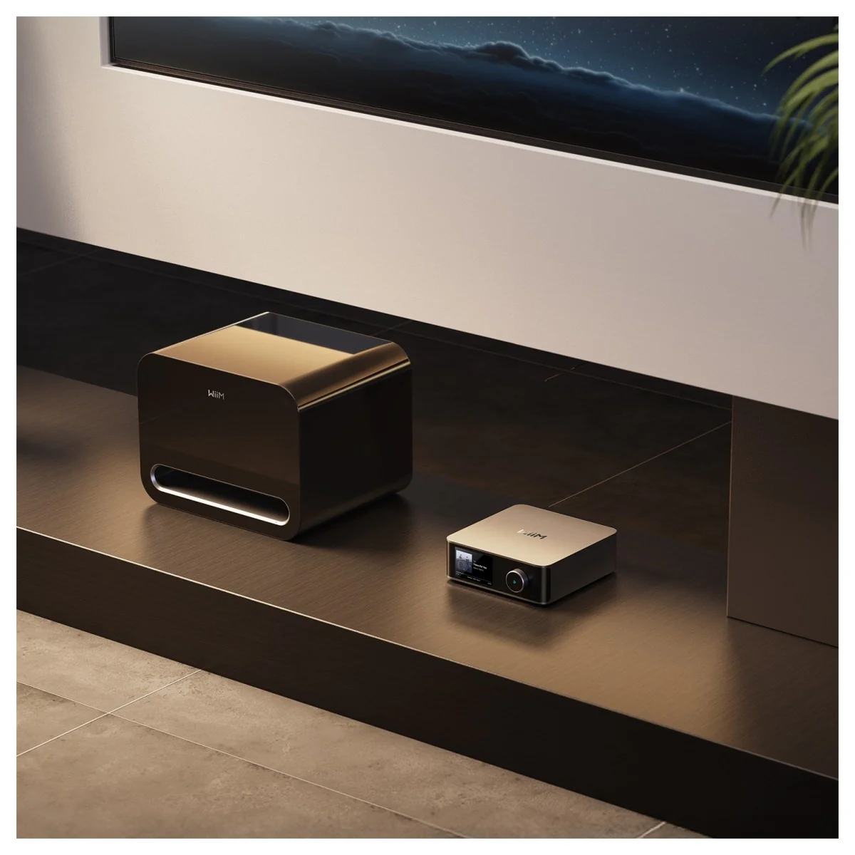 WiiM Sub Pro 8 Inch 250W Wireless Smart Subwoofer with Wi-Fi & Bluetooth - Black - Image 17