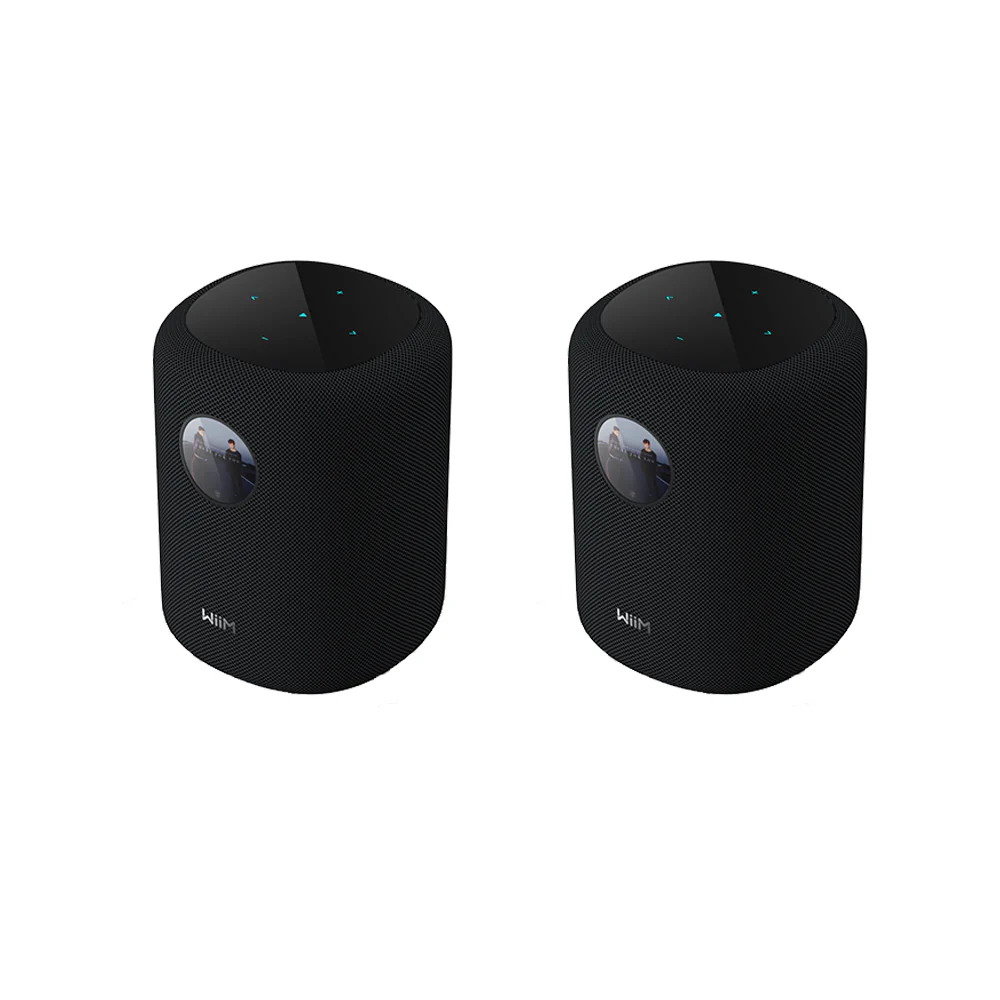 WiiM Sub Pro Wireless Subwoofer with WiiM SOUND Wireless Multiroom Smart Speakers Pair - Black - Image 3